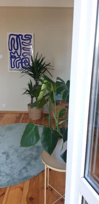 Zachod Slonca Nad Wisla Apartment คราคูฟ ภายนอก รูปภาพ