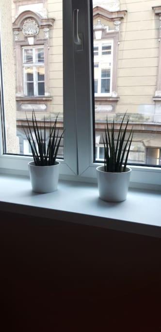 Zachod Slonca Nad Wisla Apartment คราคูฟ ภายนอก รูปภาพ